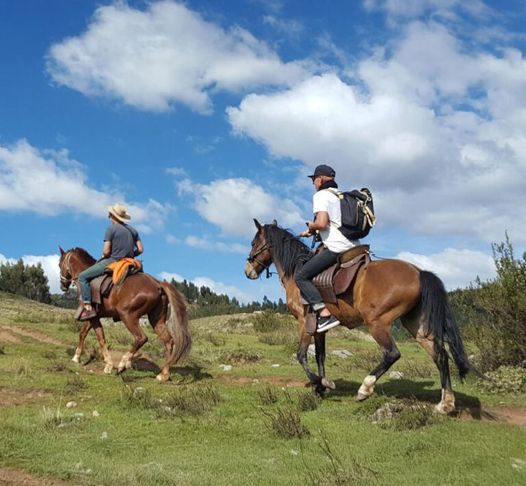 Cabalgata 3 768x709