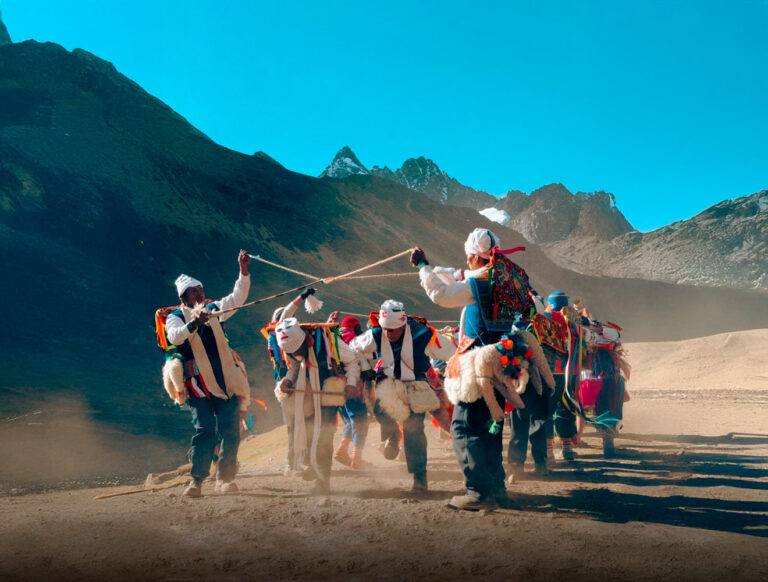 Qoyllority 1 768x582