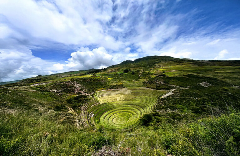 moray1 768x499